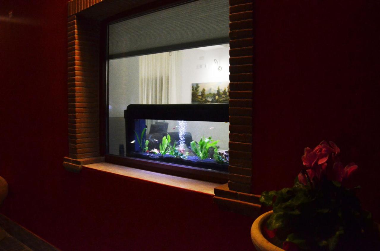 Morolo La Tana Delle Lepri B&B 외부 사진